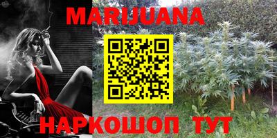 кокс Нальчик