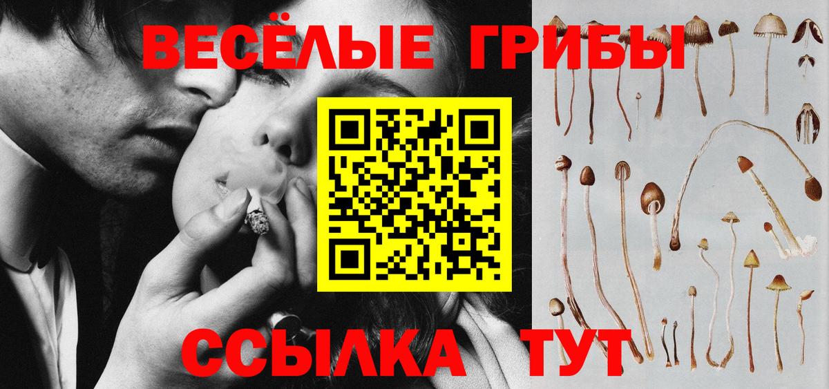 Псилоцибиновые грибы GOLDEN TEACHER  Вход с VPN  Псилоцибиновые грибы Psilocybe  Севастополь 